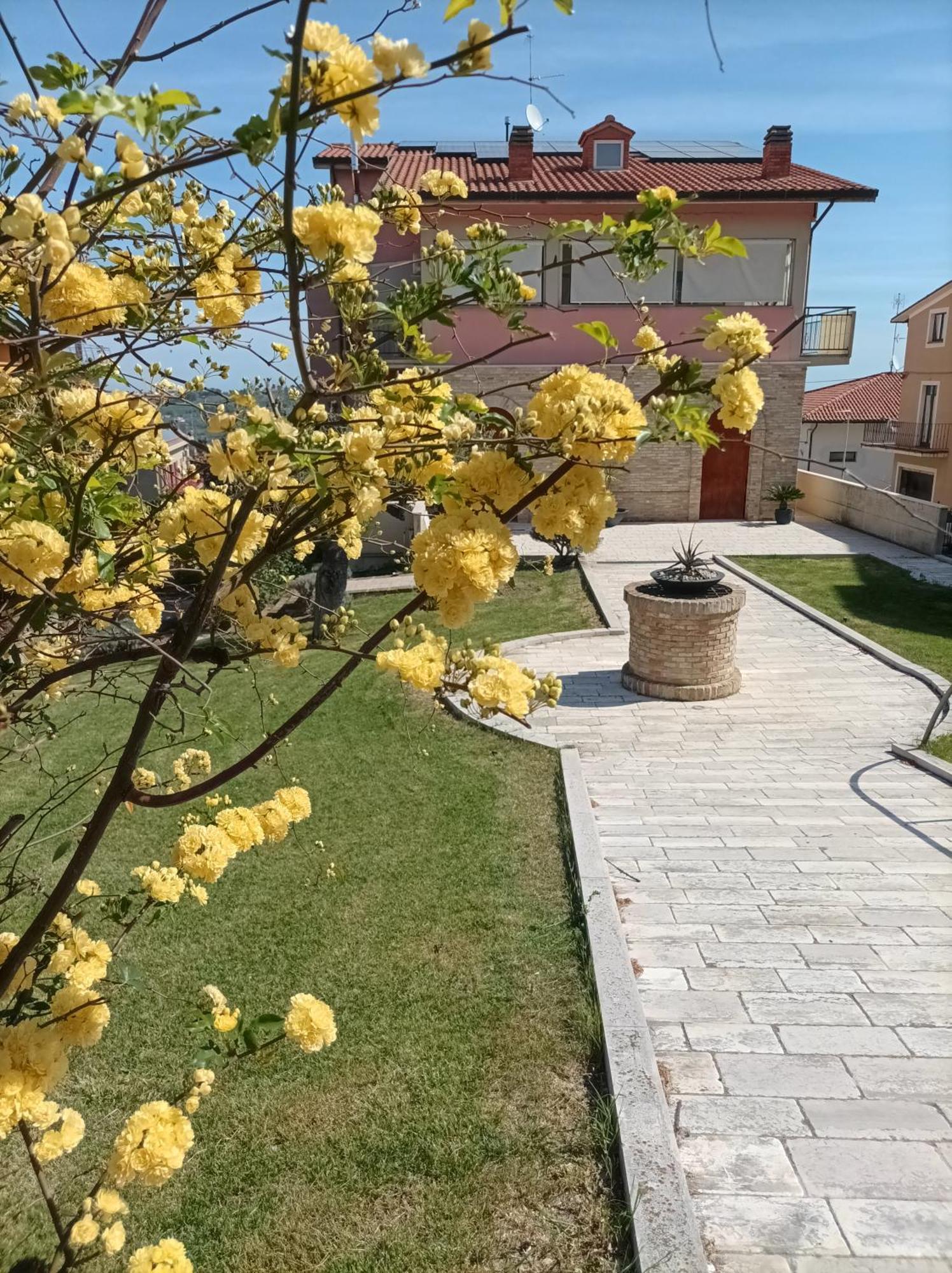 Villa Istonia Cupello Exteriör bild