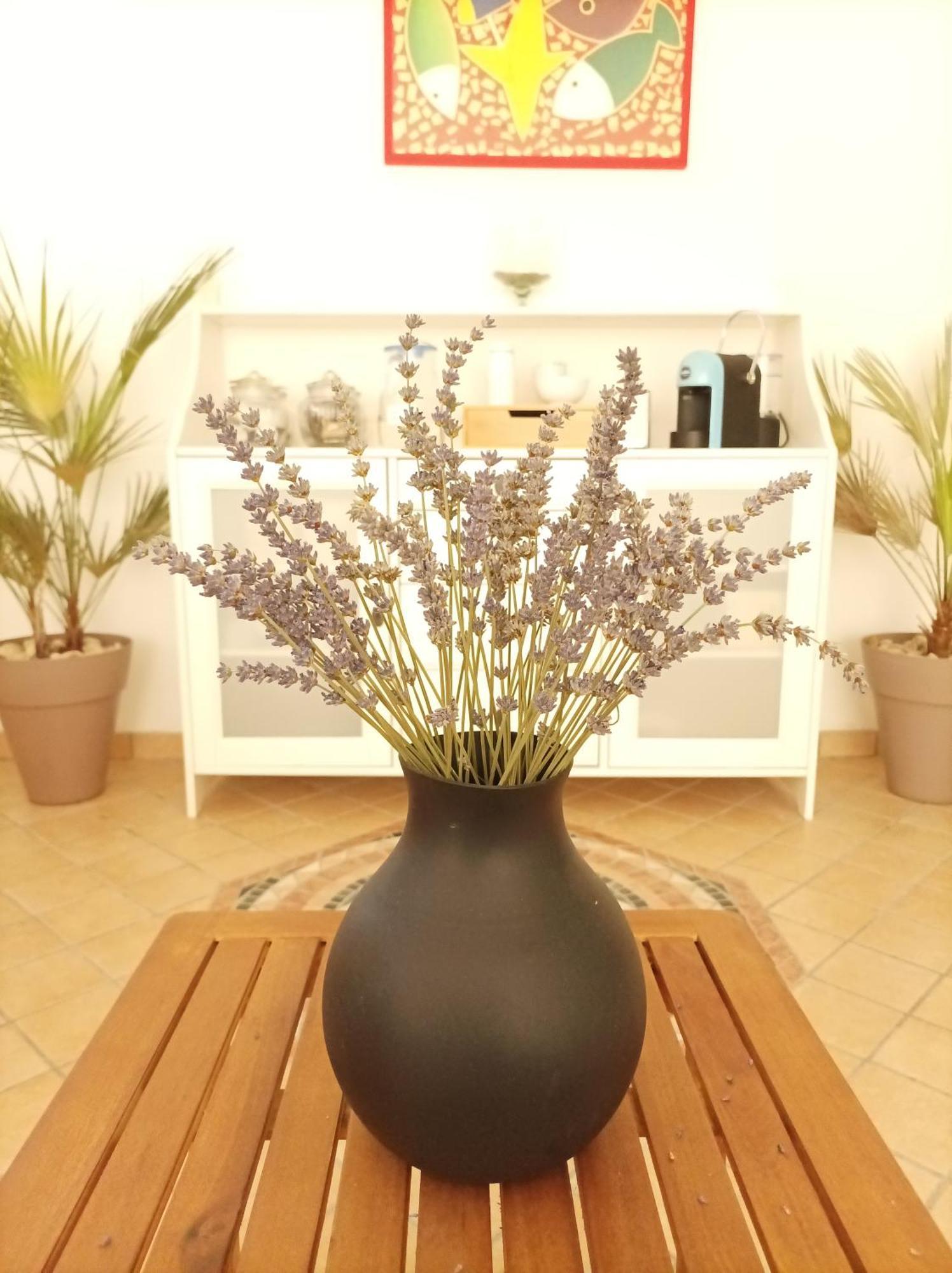 Villa Istonia Cupello Exteriör bild
